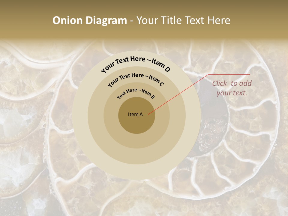 Shell Ammonite Earth PowerPoint Template