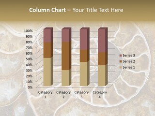 Shell Ammonite Earth PowerPoint Template