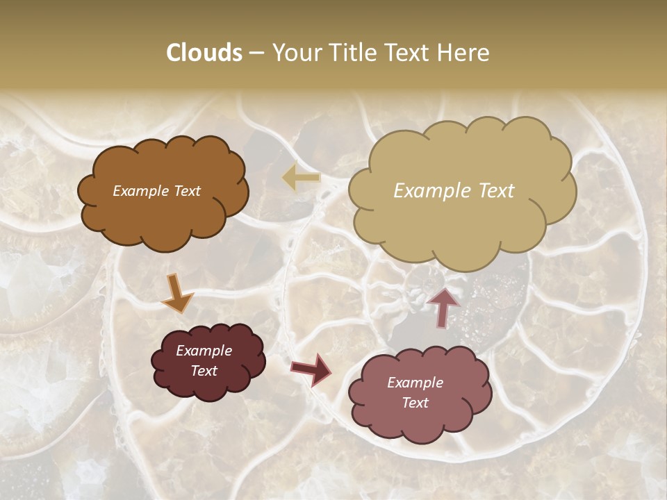 Shell Ammonite Earth PowerPoint Template