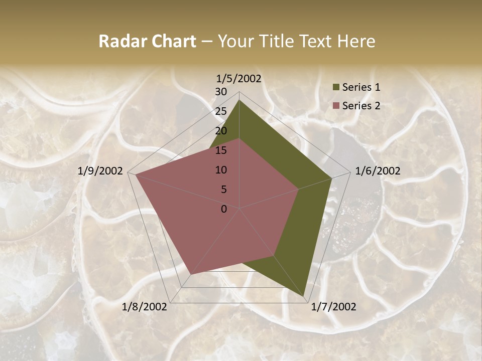 Shell Ammonite Earth PowerPoint Template