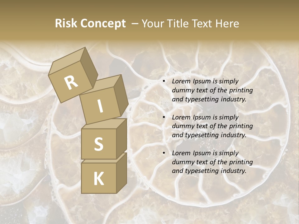 Shell Ammonite Earth PowerPoint Template