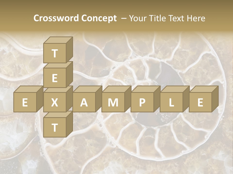 Shell Ammonite Earth PowerPoint Template