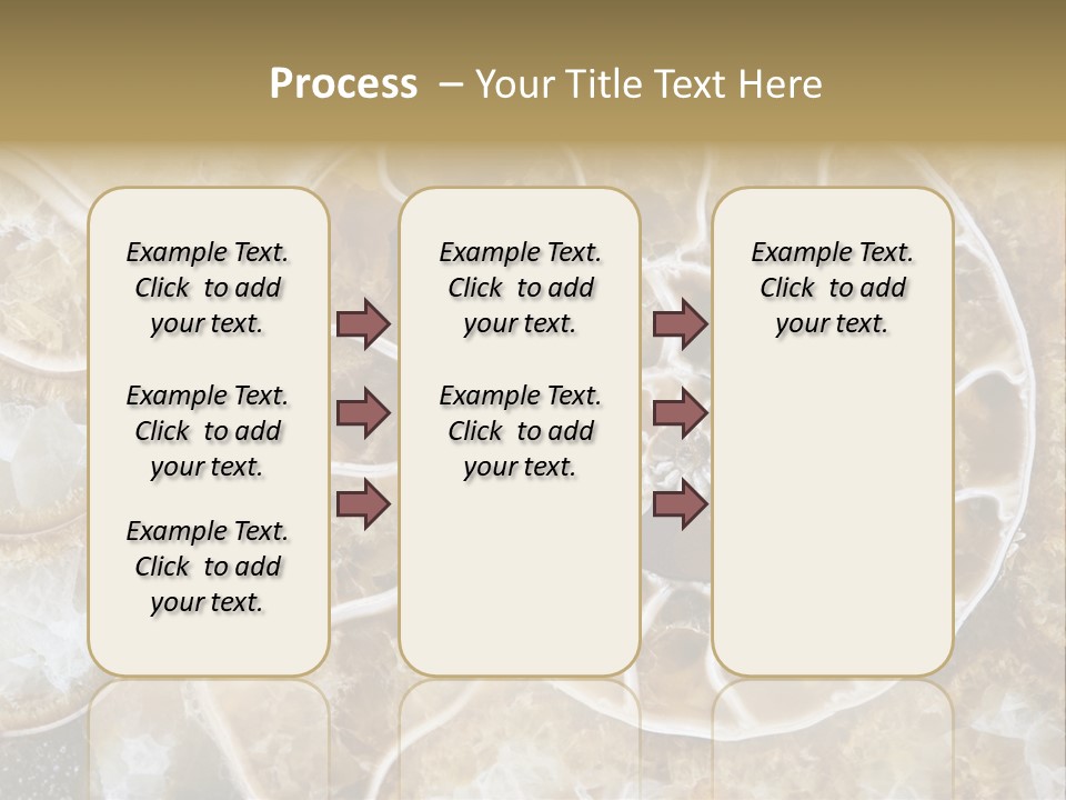 Shell Ammonite Earth PowerPoint Template