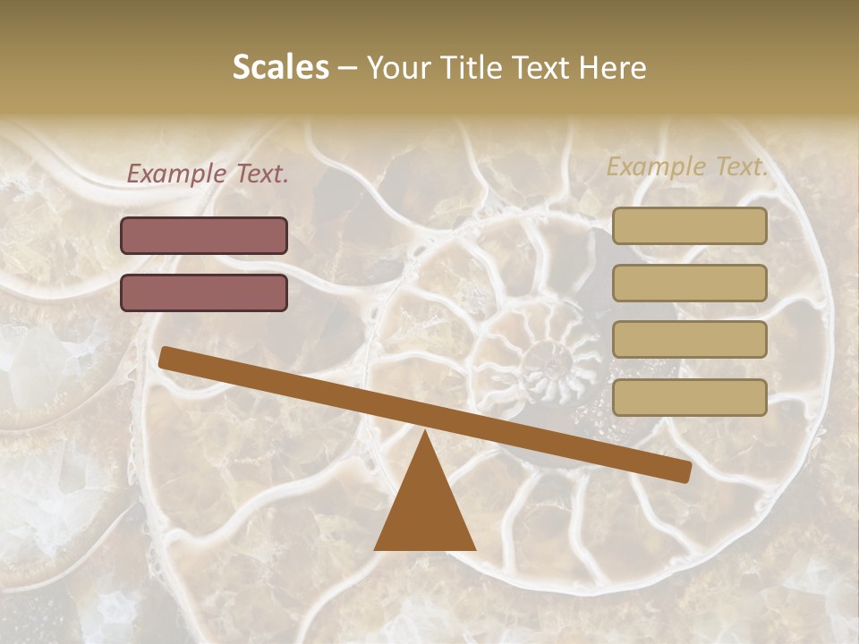 Shell Ammonite Earth PowerPoint Template