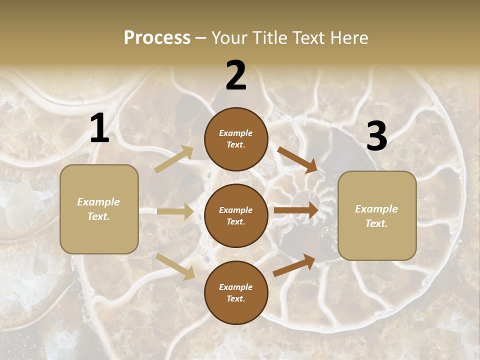 Shell Ammonite Earth PowerPoint Template