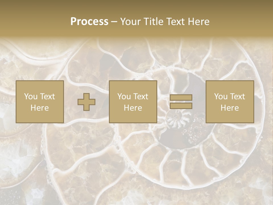 Shell Ammonite Earth PowerPoint Template