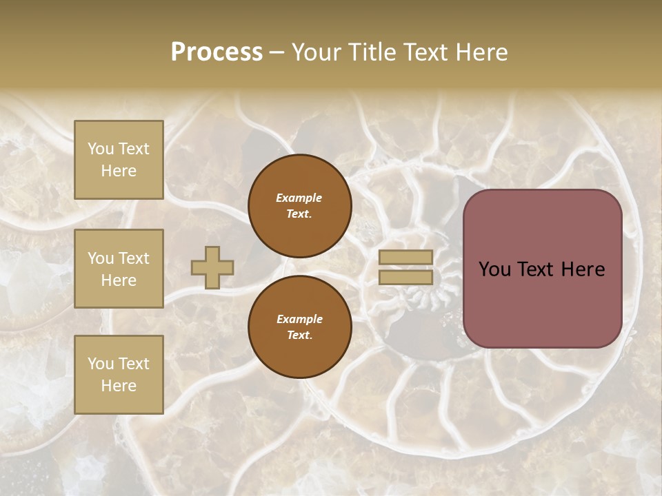 Shell Ammonite Earth PowerPoint Template