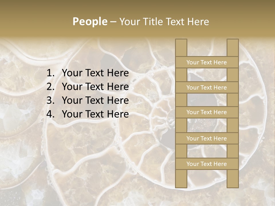 Shell Ammonite Earth PowerPoint Template