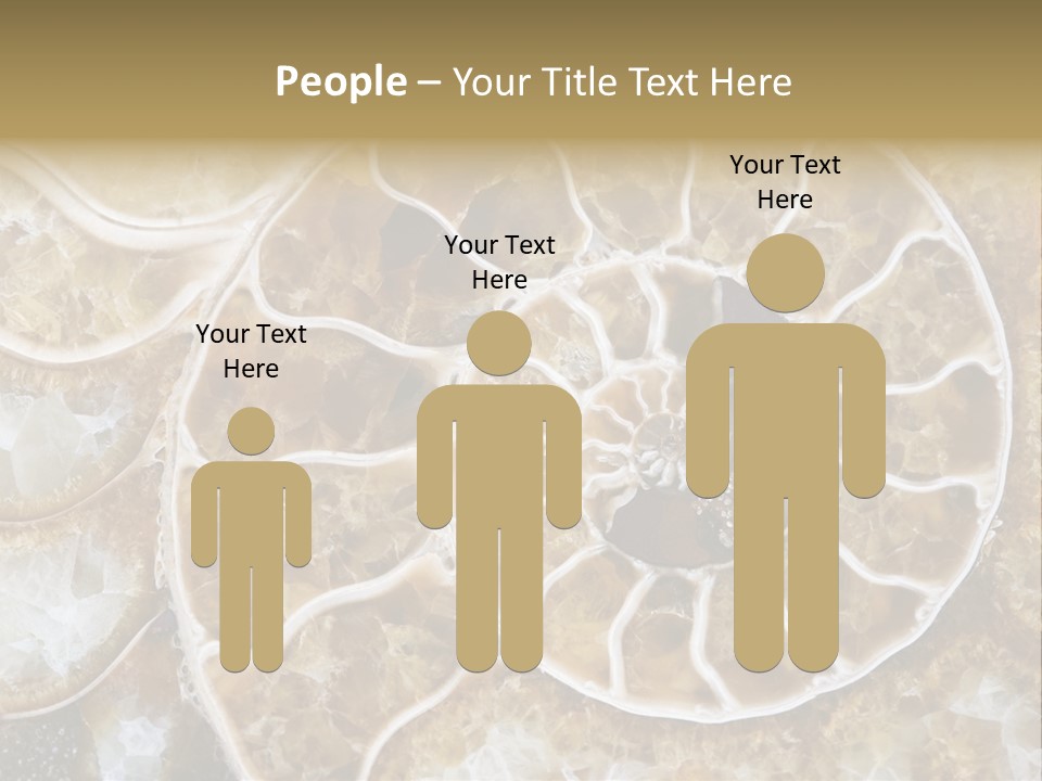 Shell Ammonite Earth PowerPoint Template