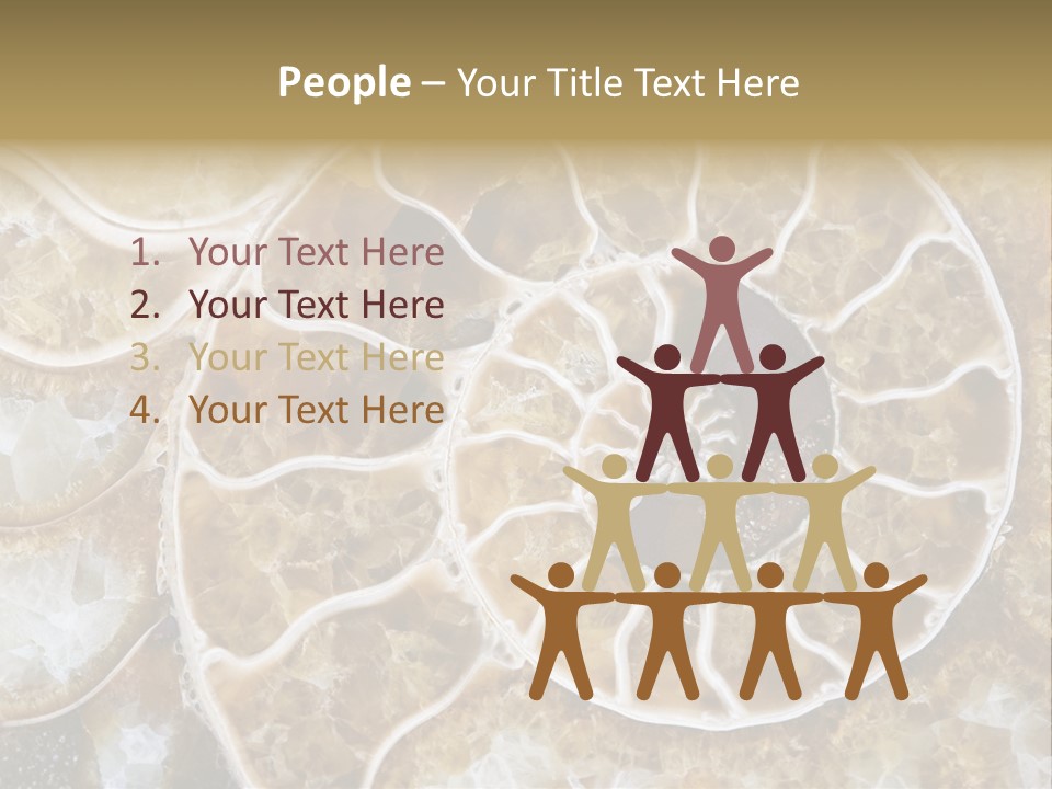 Shell Ammonite Earth PowerPoint Template