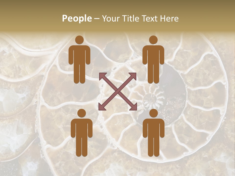 Shell Ammonite Earth PowerPoint Template