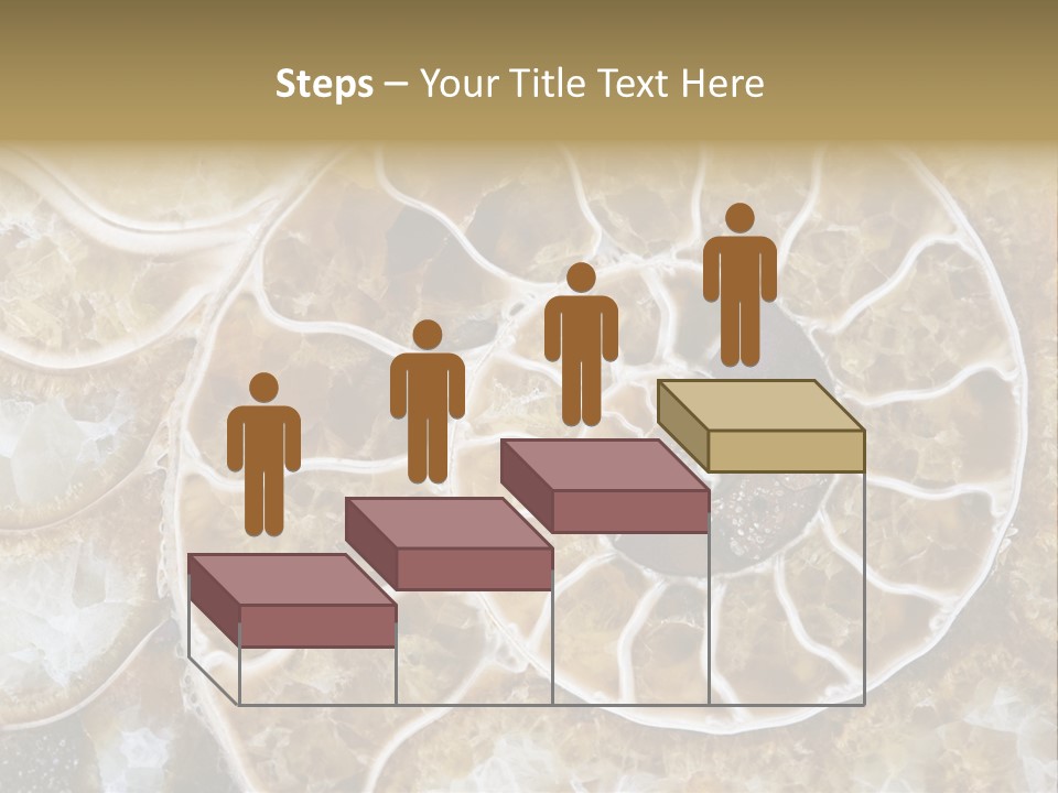 Shell Ammonite Earth PowerPoint Template