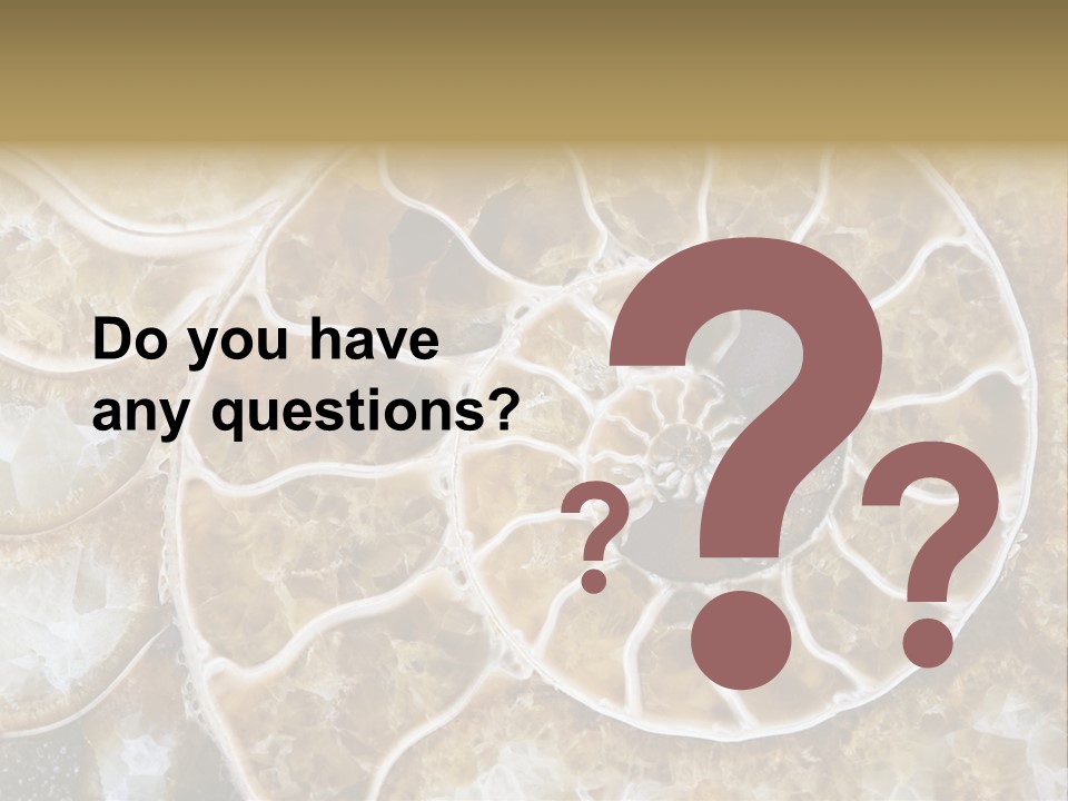 Shell Ammonite Earth PowerPoint Template