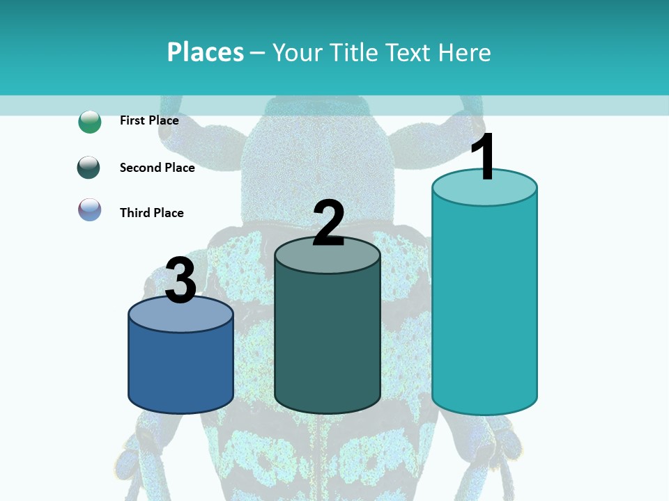 New Guinea Eupholus Schoenherri Cyan PowerPoint Template