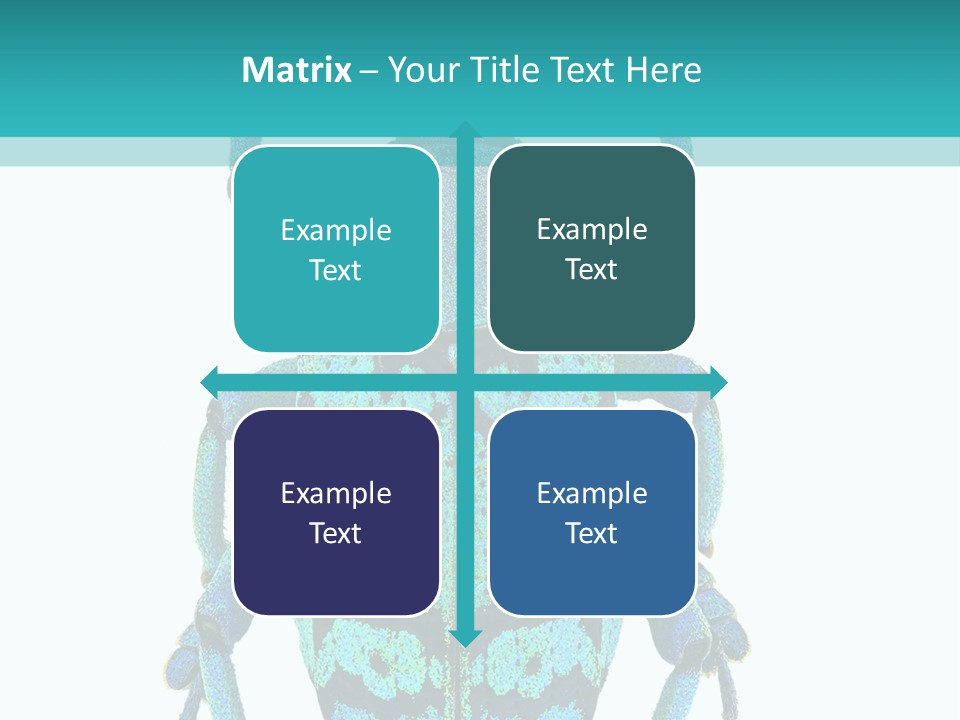 New Guinea Eupholus Schoenherri Cyan PowerPoint Template