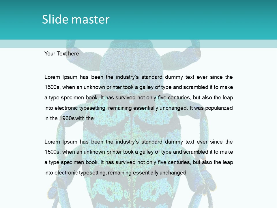 New Guinea Eupholus Schoenherri Cyan PowerPoint Template