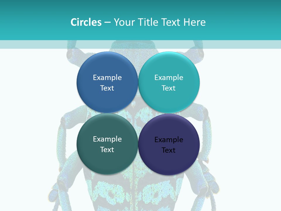 New Guinea Eupholus Schoenherri Cyan PowerPoint Template