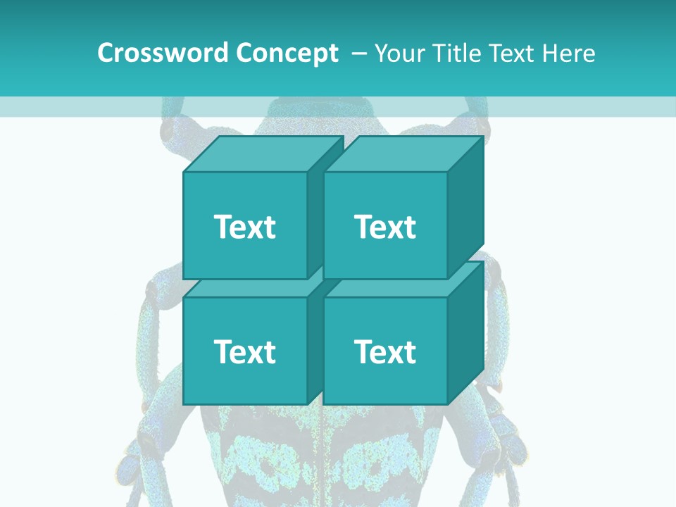 New Guinea Eupholus Schoenherri Cyan PowerPoint Template