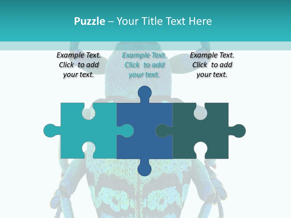 New Guinea Eupholus Schoenherri Cyan PowerPoint Template