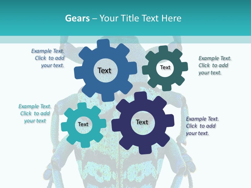 New Guinea Eupholus Schoenherri Cyan PowerPoint Template