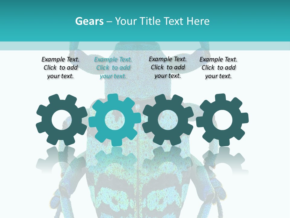 New Guinea Eupholus Schoenherri Cyan PowerPoint Template