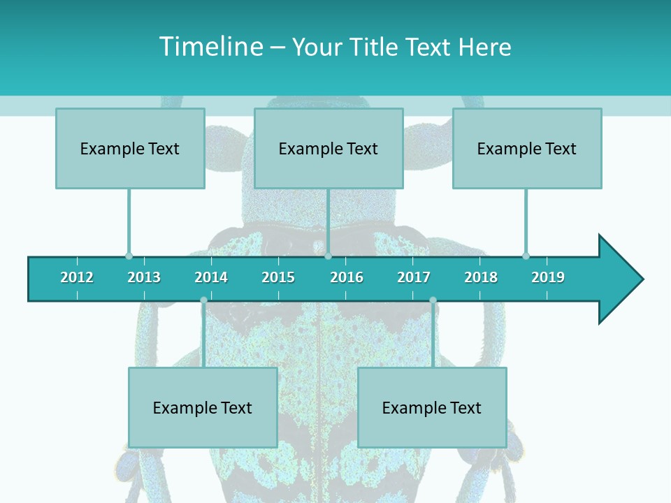 New Guinea Eupholus Schoenherri Cyan PowerPoint Template