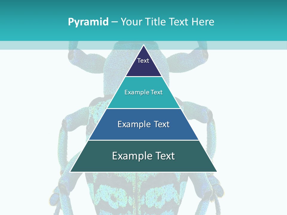 New Guinea Eupholus Schoenherri Cyan PowerPoint Template