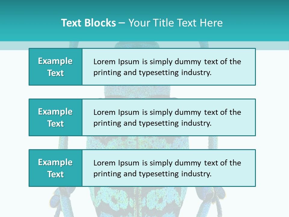 New Guinea Eupholus Schoenherri Cyan PowerPoint Template