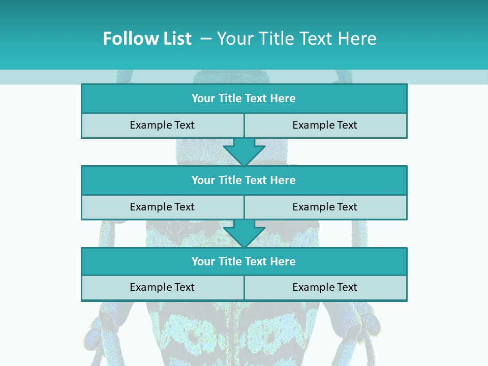 New Guinea Eupholus Schoenherri Cyan PowerPoint Template