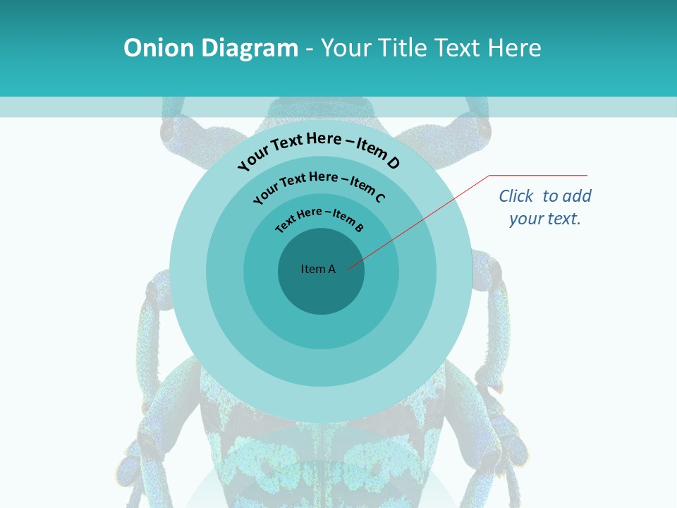 New Guinea Eupholus Schoenherri Cyan PowerPoint Template