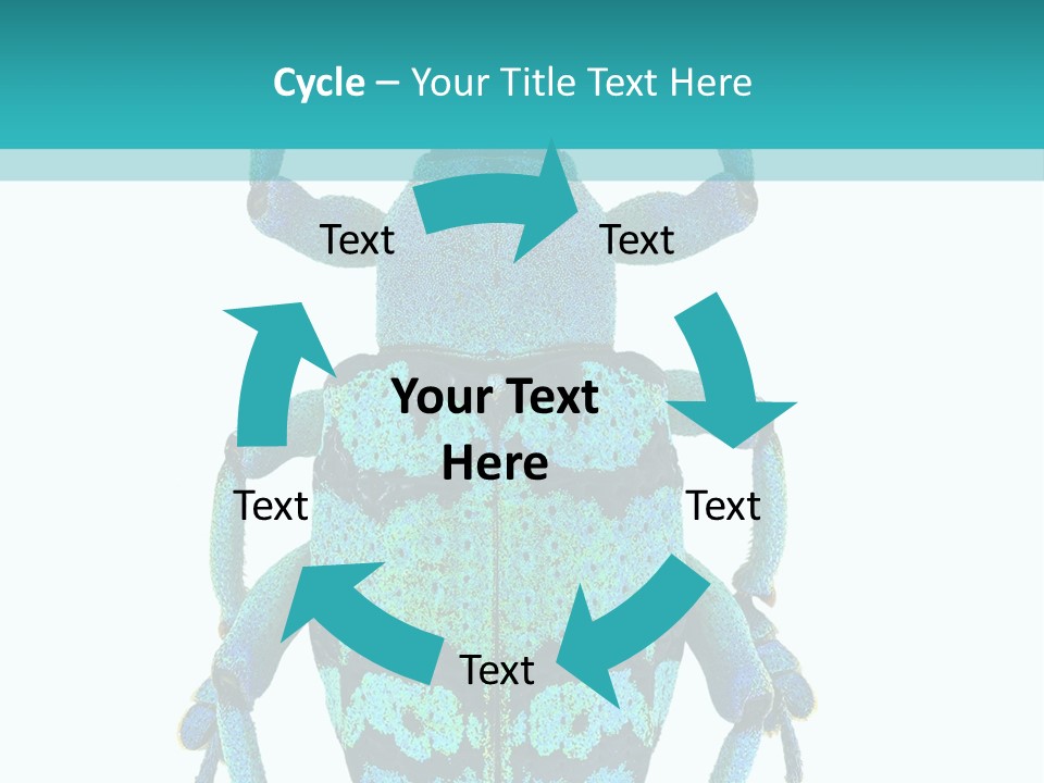 New Guinea Eupholus Schoenherri Cyan PowerPoint Template