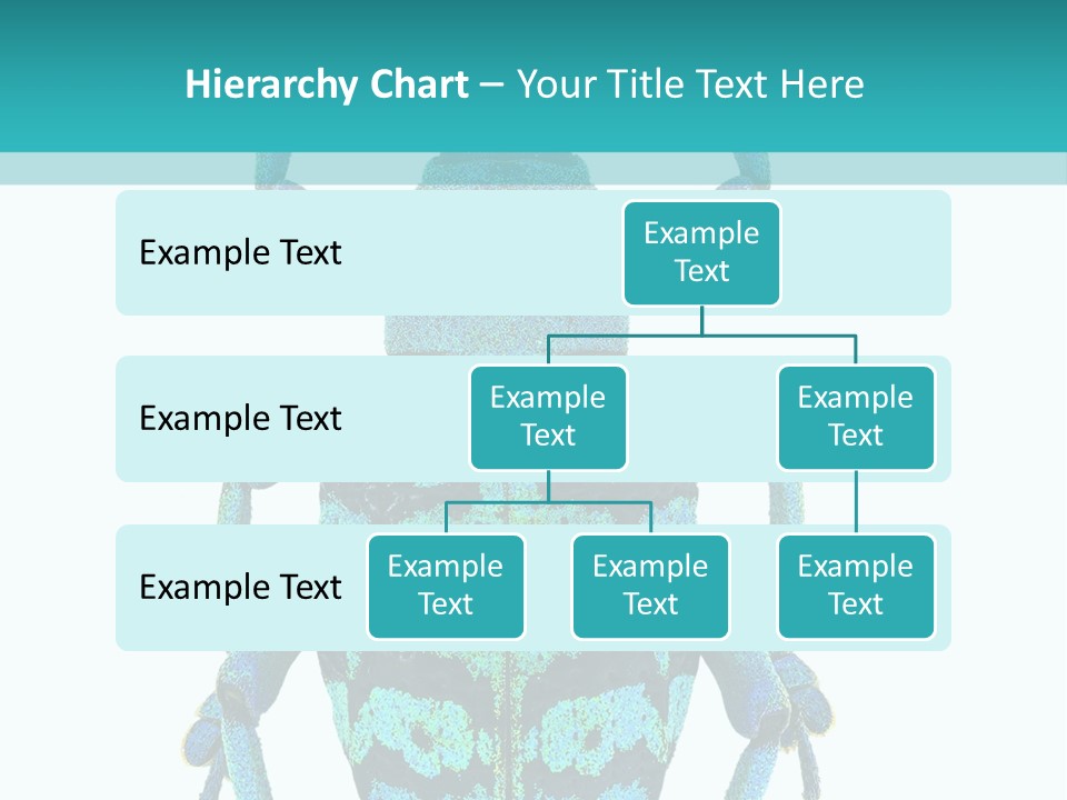 New Guinea Eupholus Schoenherri Cyan PowerPoint Template