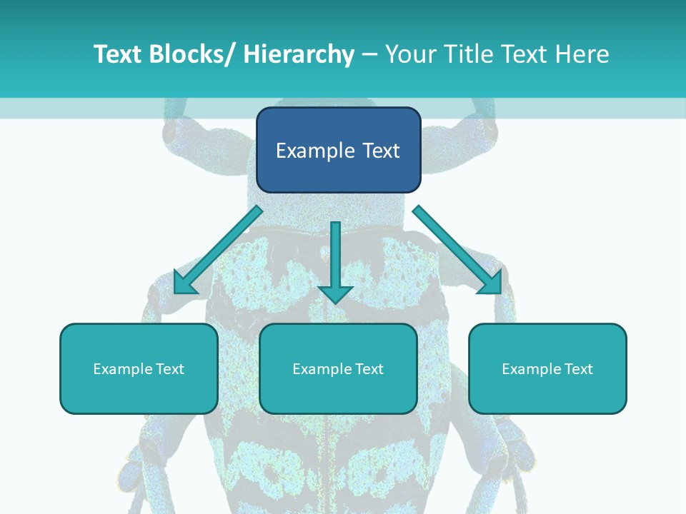 New Guinea Eupholus Schoenherri Cyan PowerPoint Template