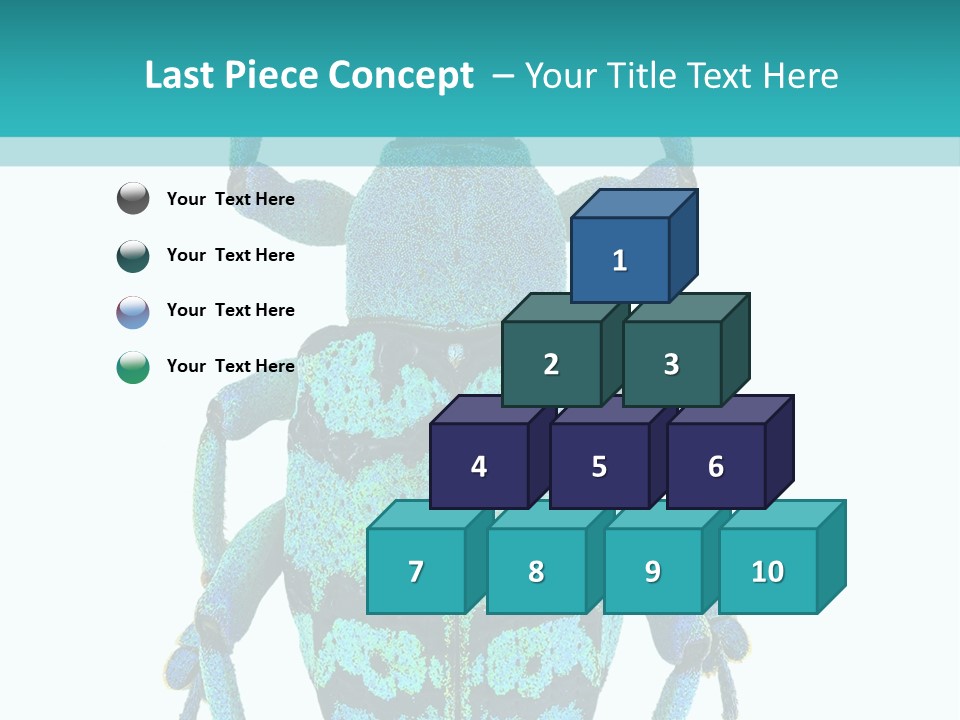 New Guinea Eupholus Schoenherri Cyan PowerPoint Template