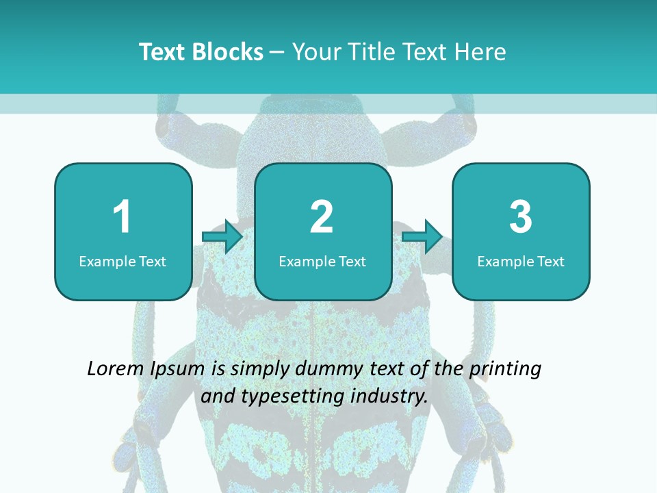 New Guinea Eupholus Schoenherri Cyan PowerPoint Template
