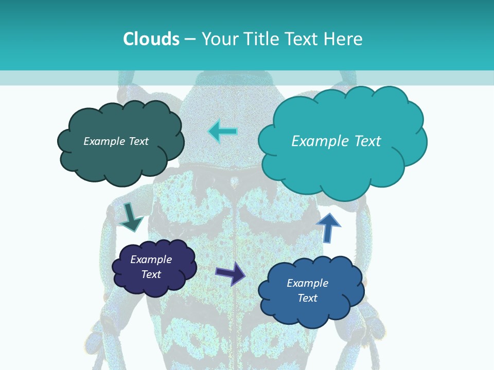 New Guinea Eupholus Schoenherri Cyan PowerPoint Template
