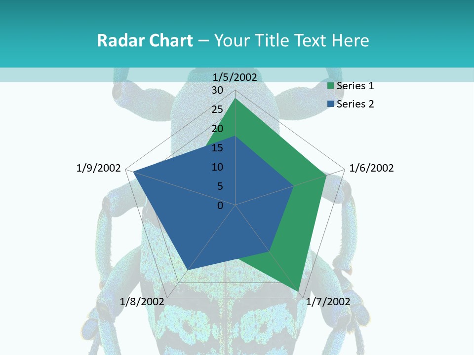 New Guinea Eupholus Schoenherri Cyan PowerPoint Template