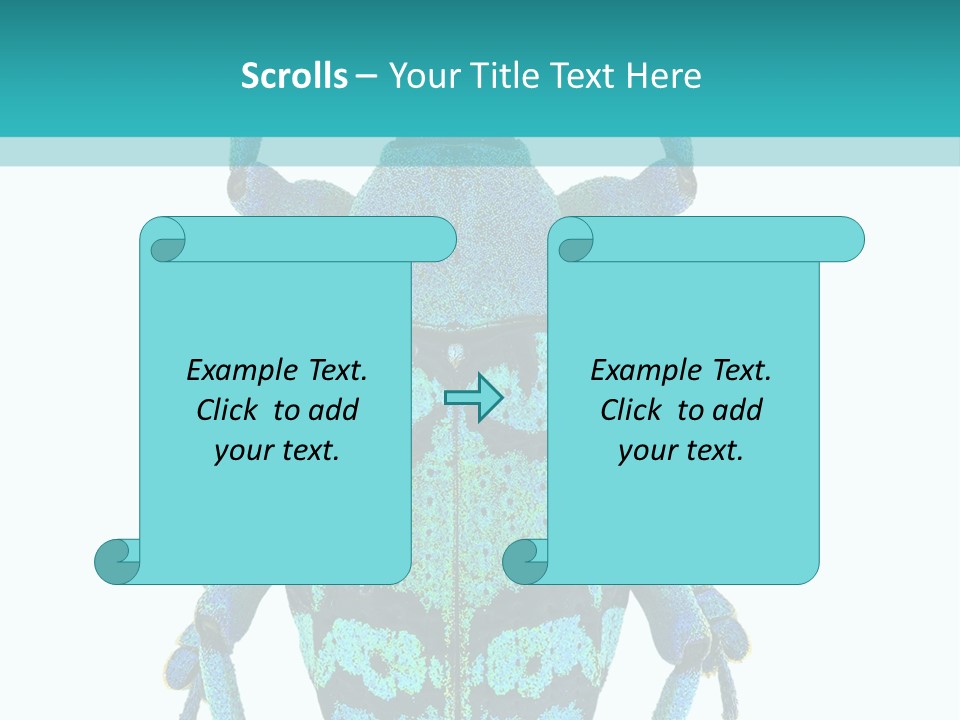 New Guinea Eupholus Schoenherri Cyan PowerPoint Template