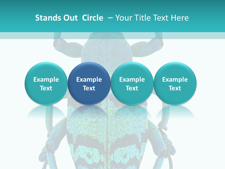 New Guinea Eupholus Schoenherri Cyan PowerPoint Template