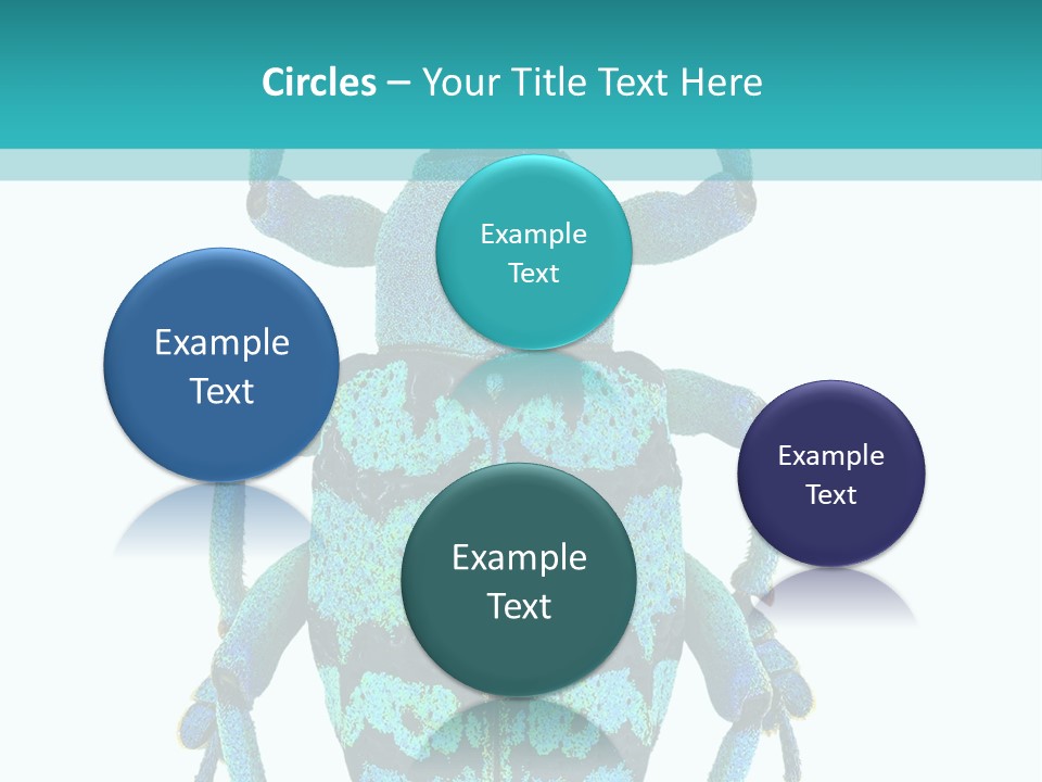 New Guinea Eupholus Schoenherri Cyan PowerPoint Template