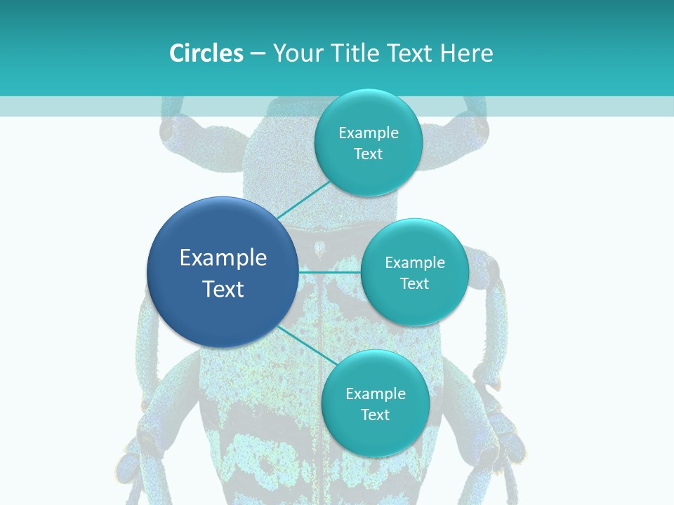New Guinea Eupholus Schoenherri Cyan PowerPoint Template