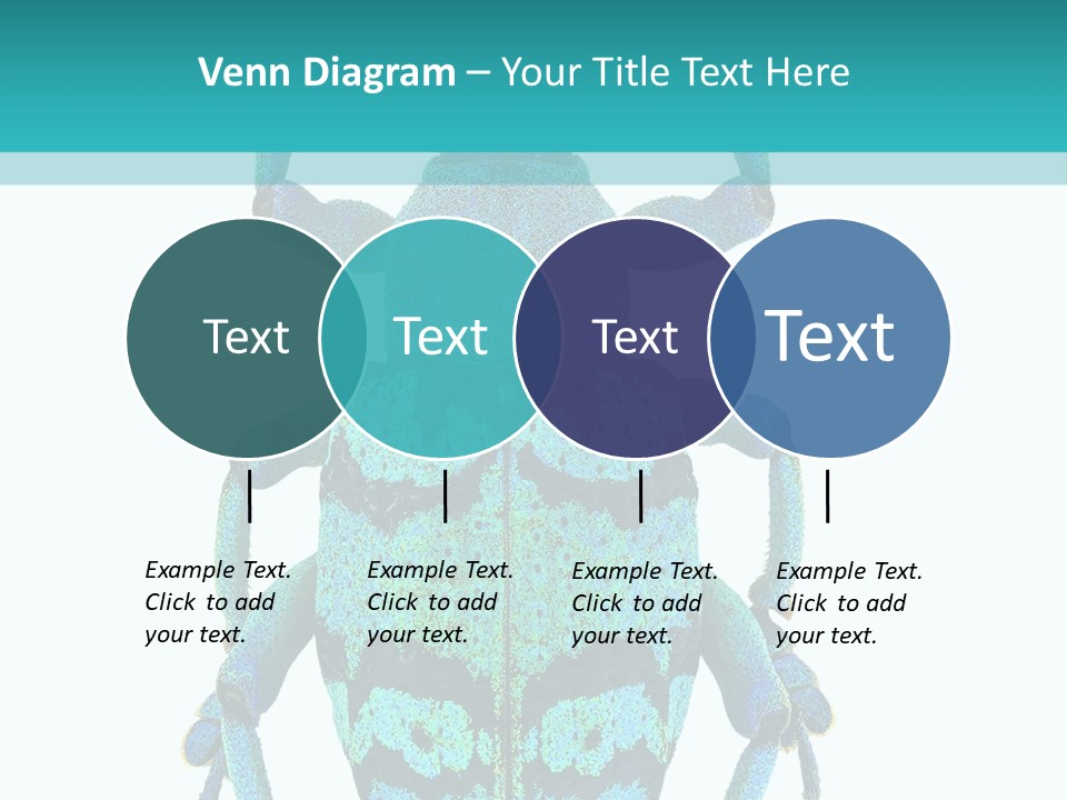 New Guinea Eupholus Schoenherri Cyan PowerPoint Template