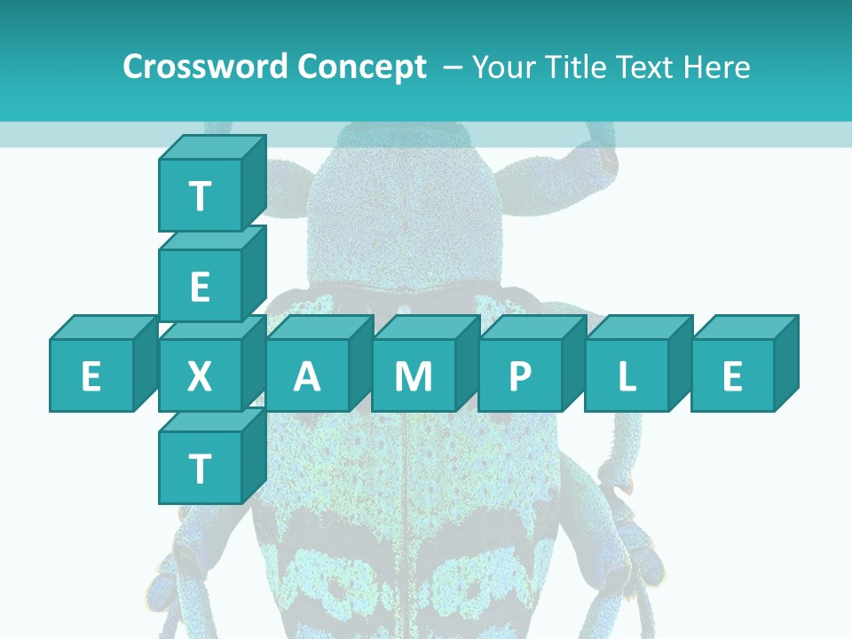 New Guinea Eupholus Schoenherri Cyan PowerPoint Template