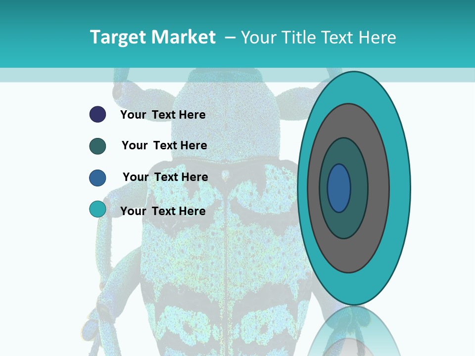 New Guinea Eupholus Schoenherri Cyan PowerPoint Template