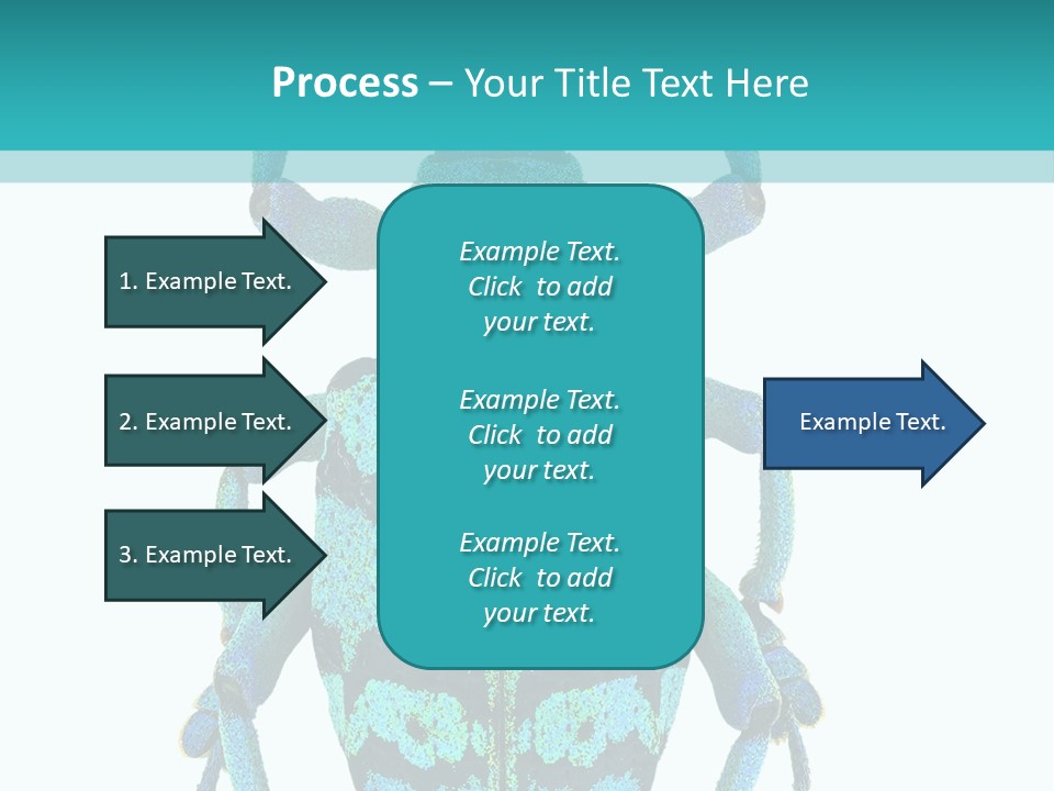 New Guinea Eupholus Schoenherri Cyan PowerPoint Template