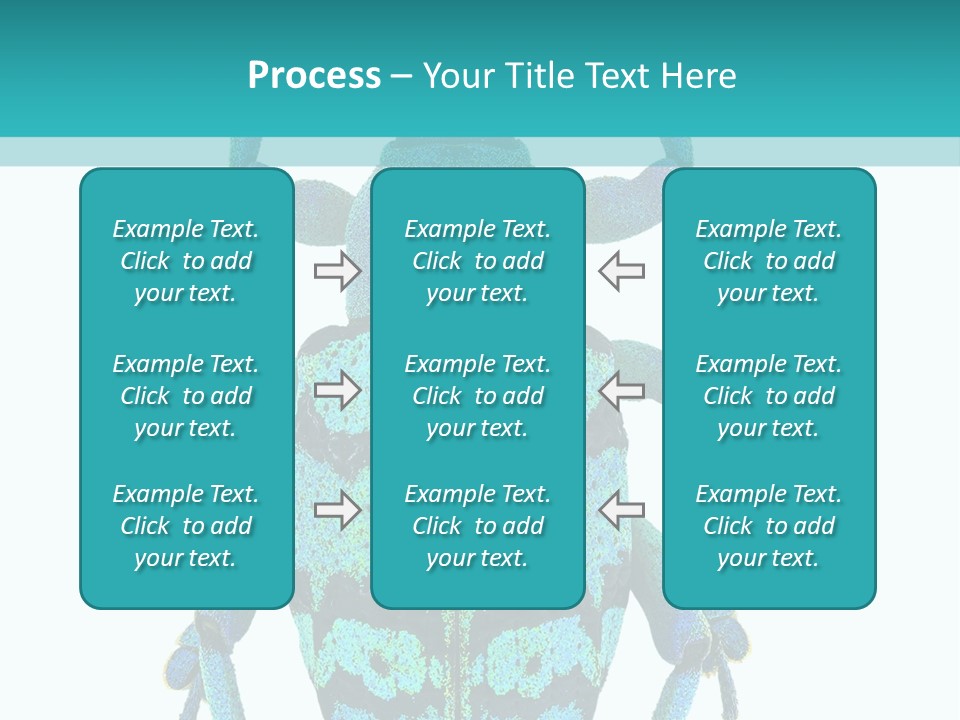New Guinea Eupholus Schoenherri Cyan PowerPoint Template