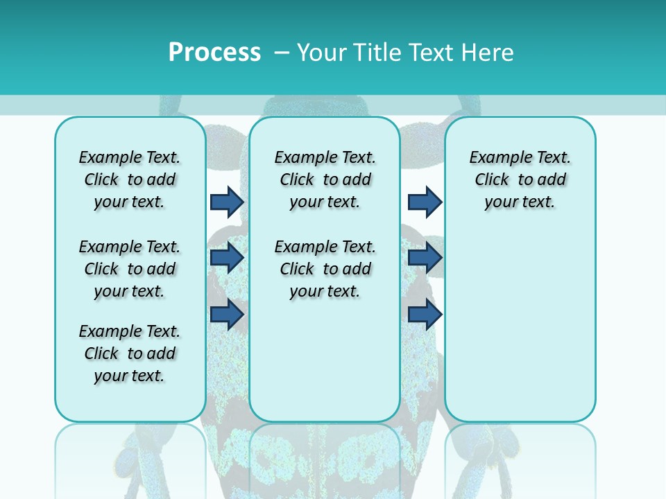 New Guinea Eupholus Schoenherri Cyan PowerPoint Template