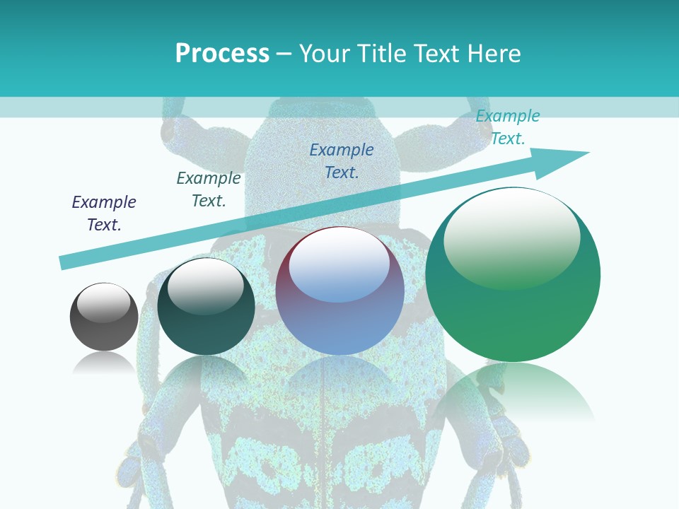 New Guinea Eupholus Schoenherri Cyan PowerPoint Template