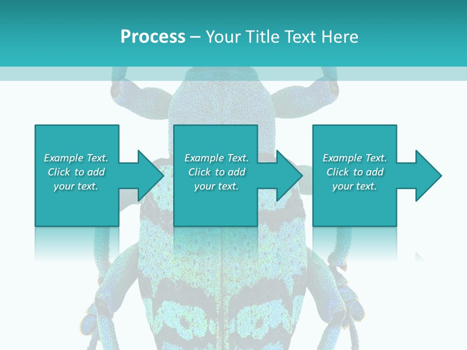 New Guinea Eupholus Schoenherri Cyan PowerPoint Template