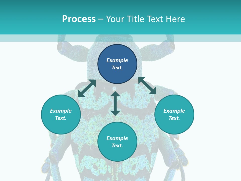 New Guinea Eupholus Schoenherri Cyan PowerPoint Template